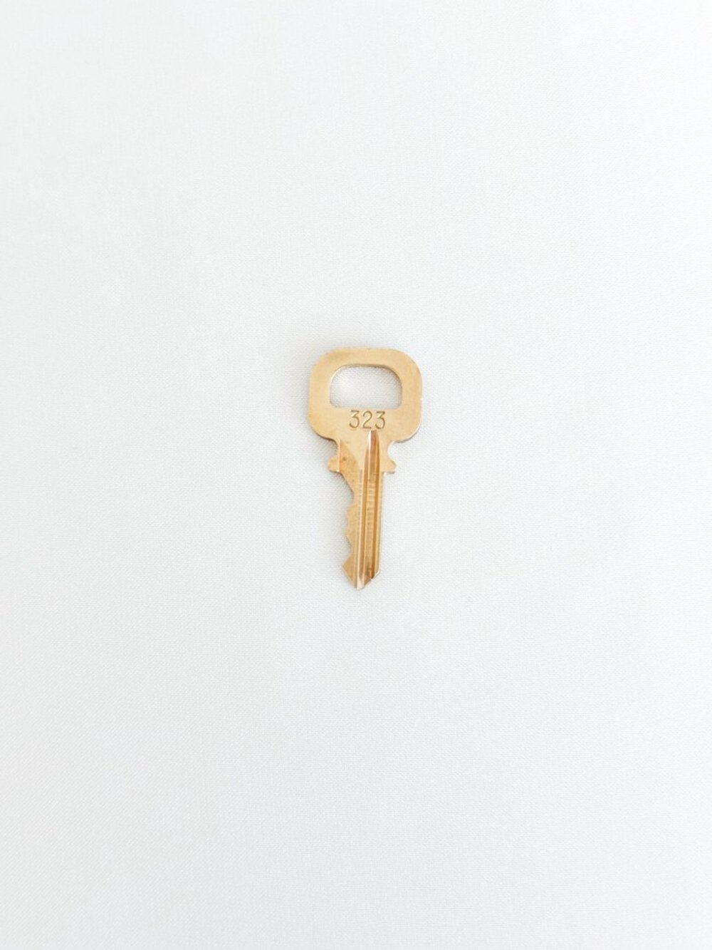 Louis Vuitton 323 Padlock Key